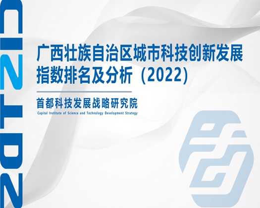 大屌抽插逼逼高清【成果发布】广西壮族自治区城市科技创新发展指数排名及分析（2022）